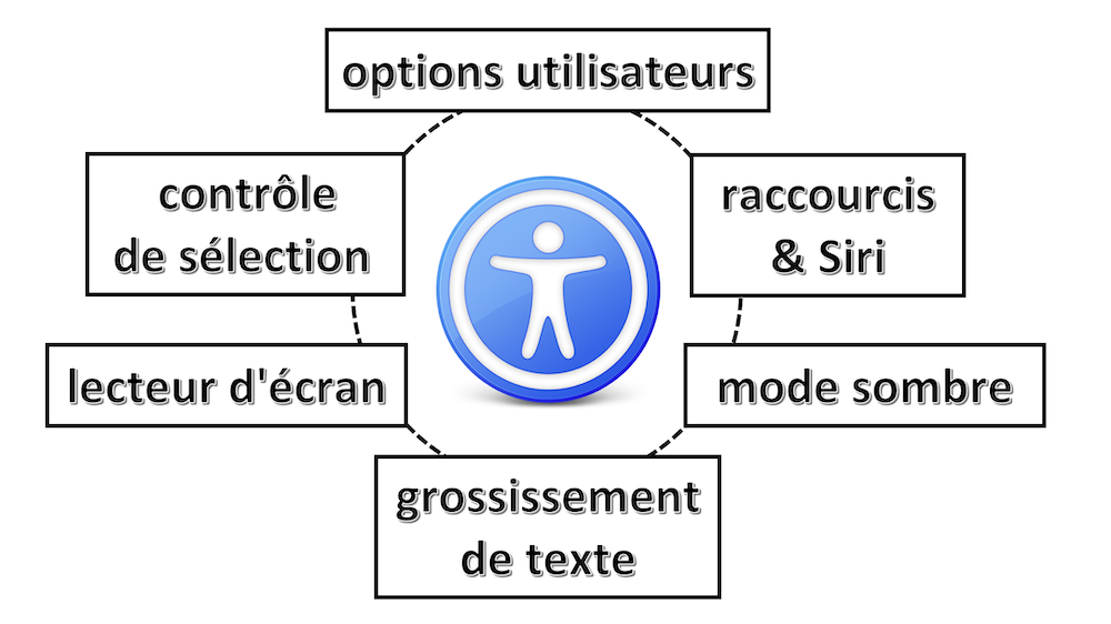 Principales options d'accessibilité sur iOS : options utilisateurs, raccourcis & Siri, mode sombre, grossissement de texte, lecteur d'écran, contrôle de sélection